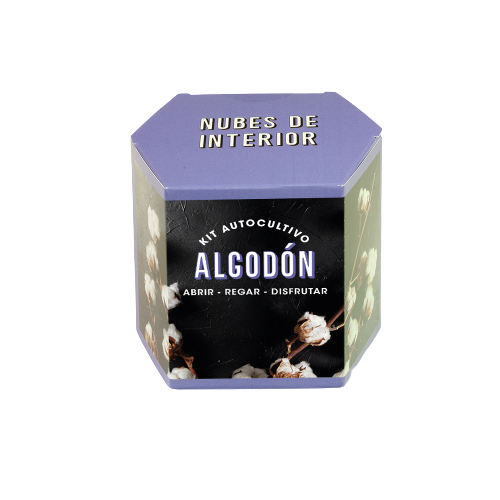 kit-algodón-resetea-betinashop_alz