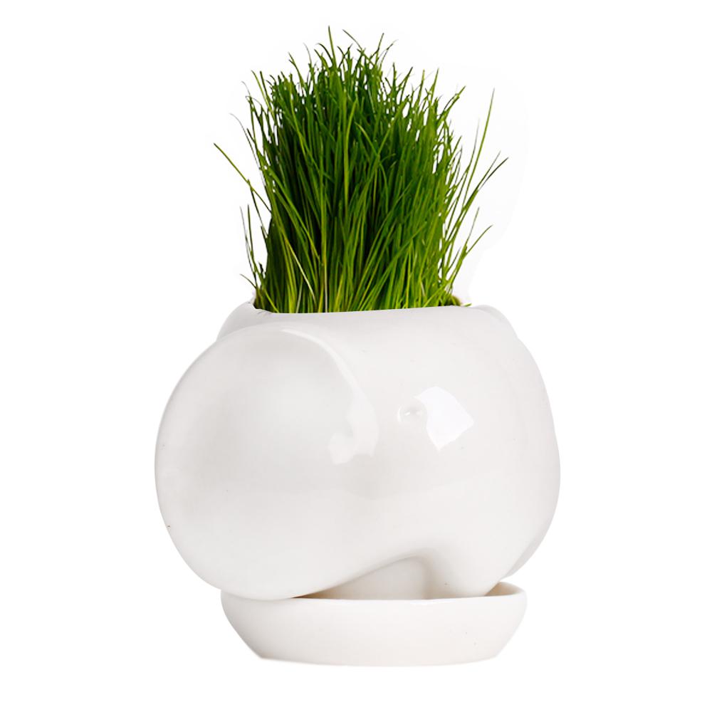 maceta-elefante-helioferretti-betinashop_alz