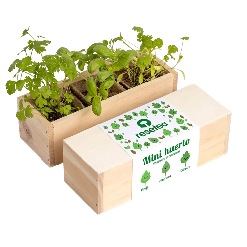 kit-huerto-hierbas-aromaticas-resetea-betina-shop_alz