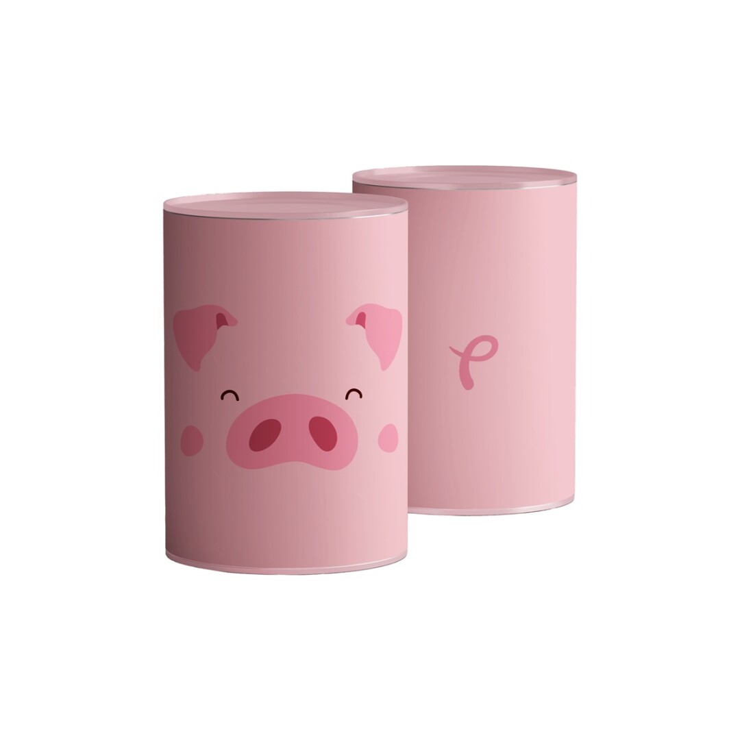 hucha-piggy-fisura-betina-shop_alz